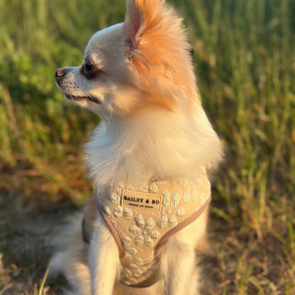 Verstellbares Brustgeschirr für Hunde - Vanilla Blossom Kollektion