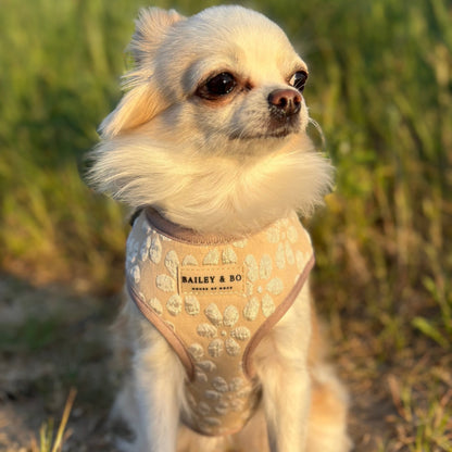 Verstellbares Brustgeschirr für Hunde - Vanilla Blossom Kollektion